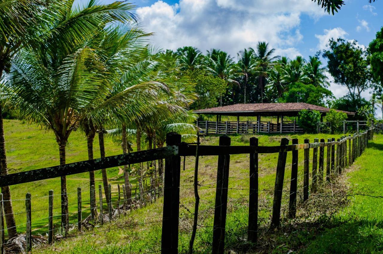 Fazenda Ecológica na Floresta da Serra da Copioba Santo Antônio de Jesus Exterior foto