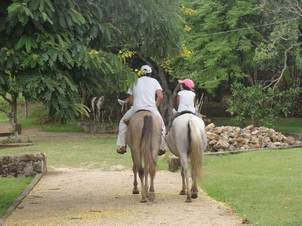 Fazenda Ecológica na Floresta da Serra da Copioba Santo Antônio de Jesus Exterior foto