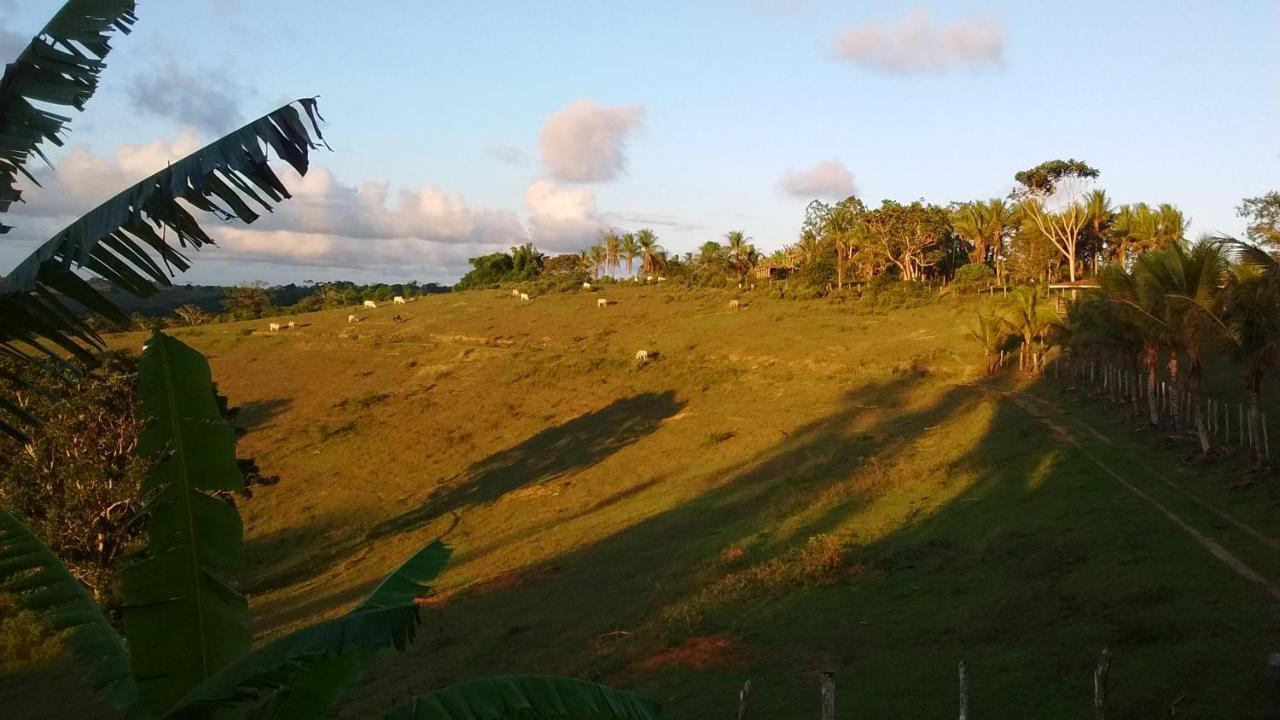 Fazenda Ecológica na Floresta da Serra da Copioba Santo Antônio de Jesus Exterior foto