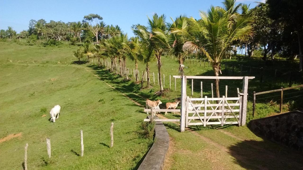 Fazenda Ecológica na Floresta da Serra da Copioba Santo Antônio de Jesus Exterior foto