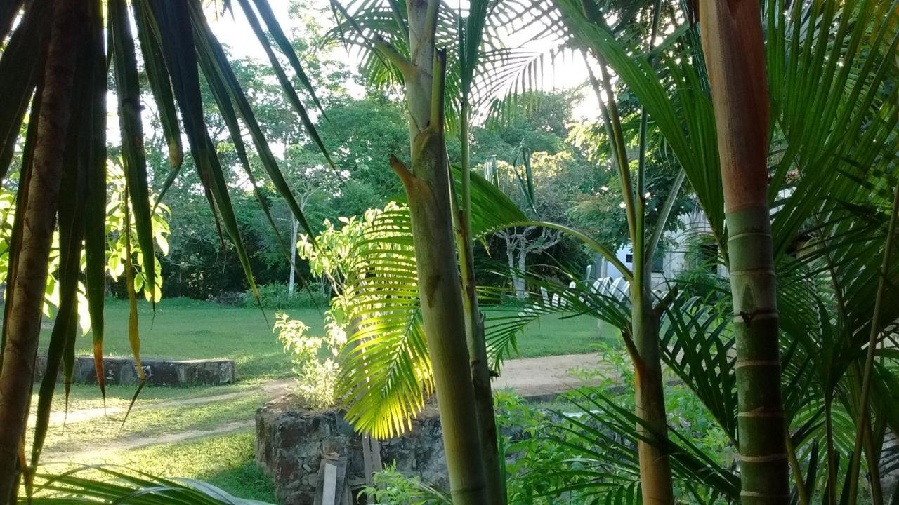 Fazenda Ecológica na Floresta da Serra da Copioba Santo Antônio de Jesus Exterior foto