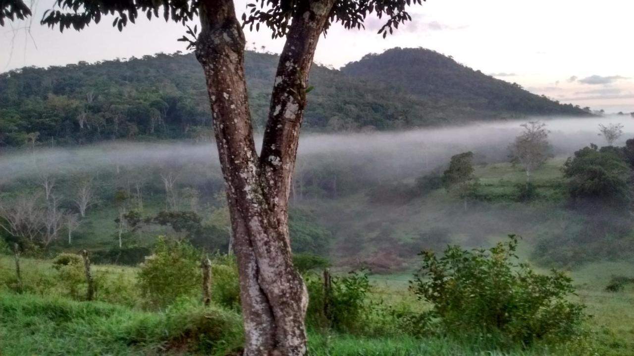 Fazenda Ecológica na Floresta da Serra da Copioba Santo Antônio de Jesus Exterior foto